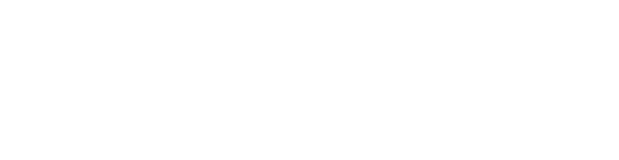 WS Immobilien